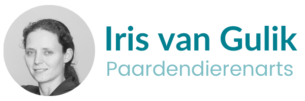 Logo zonder zij en bovenkanten 1