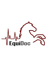 equidoc