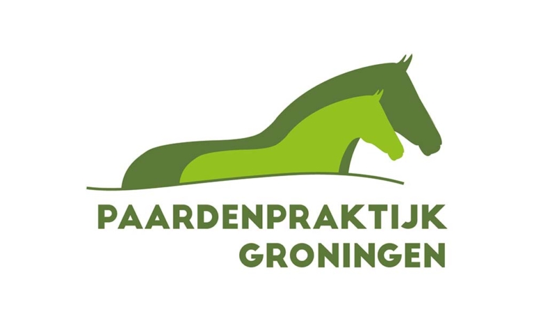 paardenpraktijk groningen 768x461