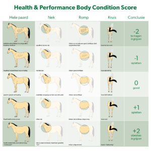Health & Performance Body Condition Score