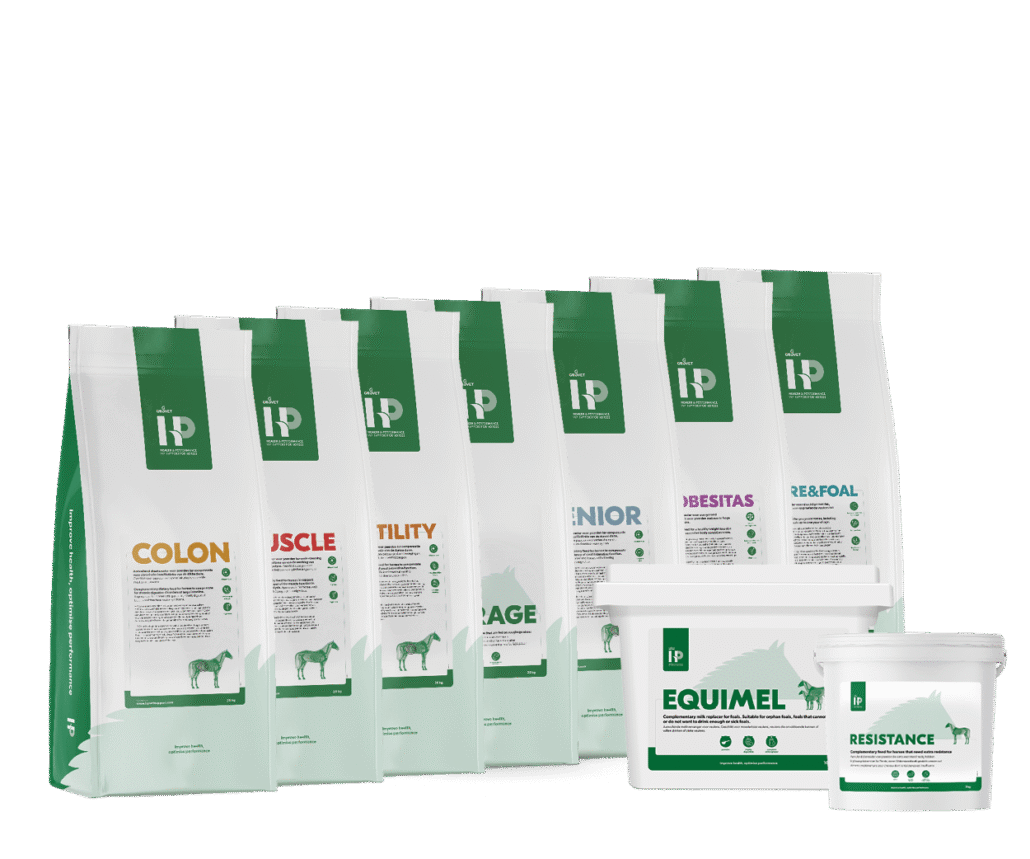 Health & Performance
