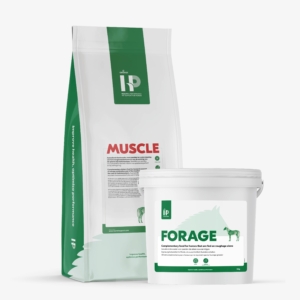 Health & Performance speciaalvoeders geschikt voor paarden op boxrust