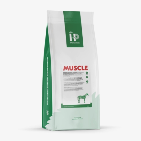 HP Muscle 20kg