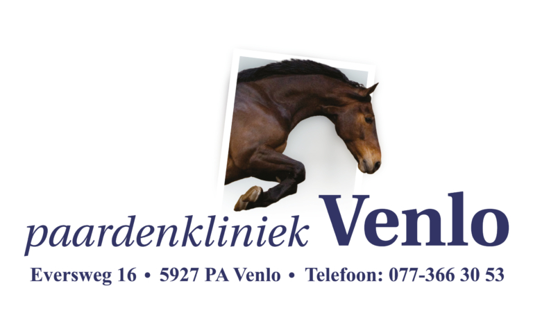 paardenkliniek venlo 1 768x454