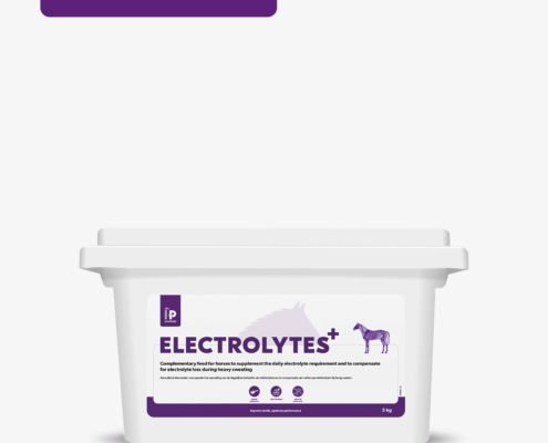 Nieuw in ons assortiment: HP Elextrolytes+