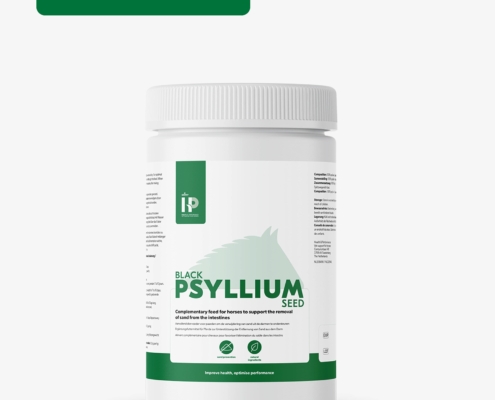 HP Black Psyllium Seed 1 kg