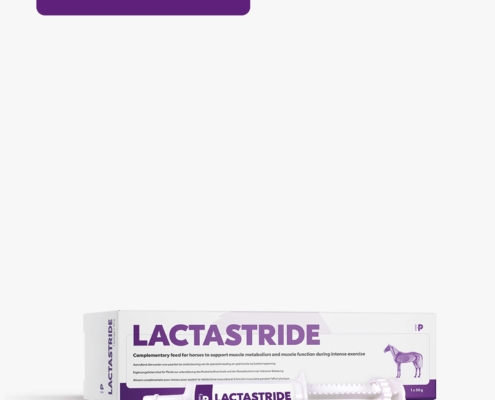 HP LactaStride