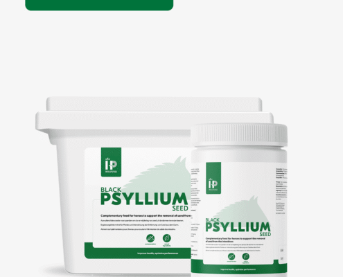 HP Black Psyllium Seed
