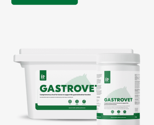 HP Gastrovet