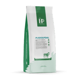 HP Mare&Foal