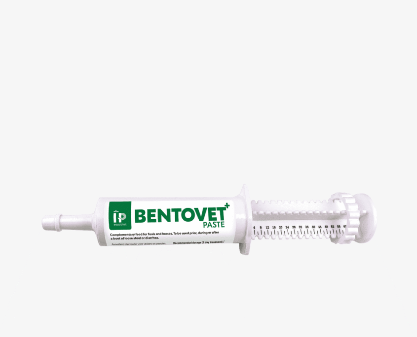 HP Bentovet+