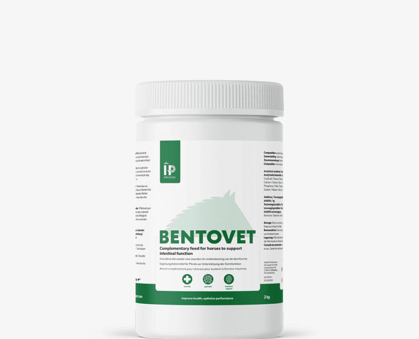 HP Bentovet kg