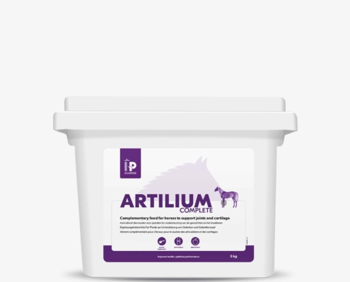 HP Artilium Complete 5 kg