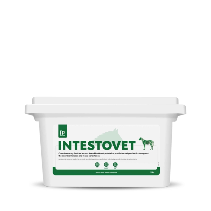 HP Intestovet2-min