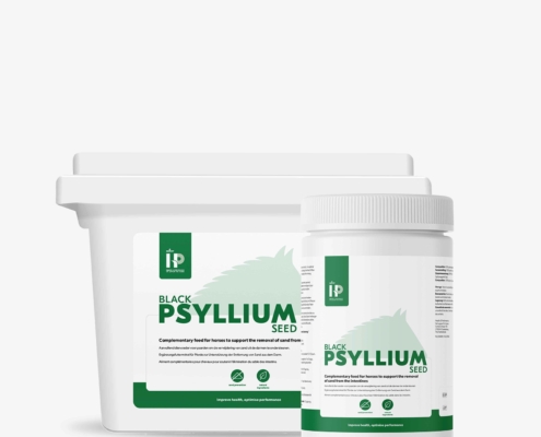 HP Black Psyllium Seed